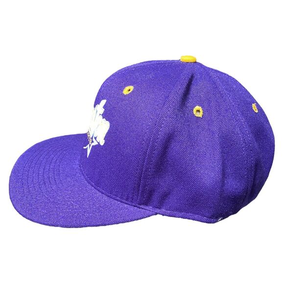 Vtg DeLONG Houston Sports Astros Baseball purple yellow SnapBack Hat Med/Lrg - Picture 2 of 8